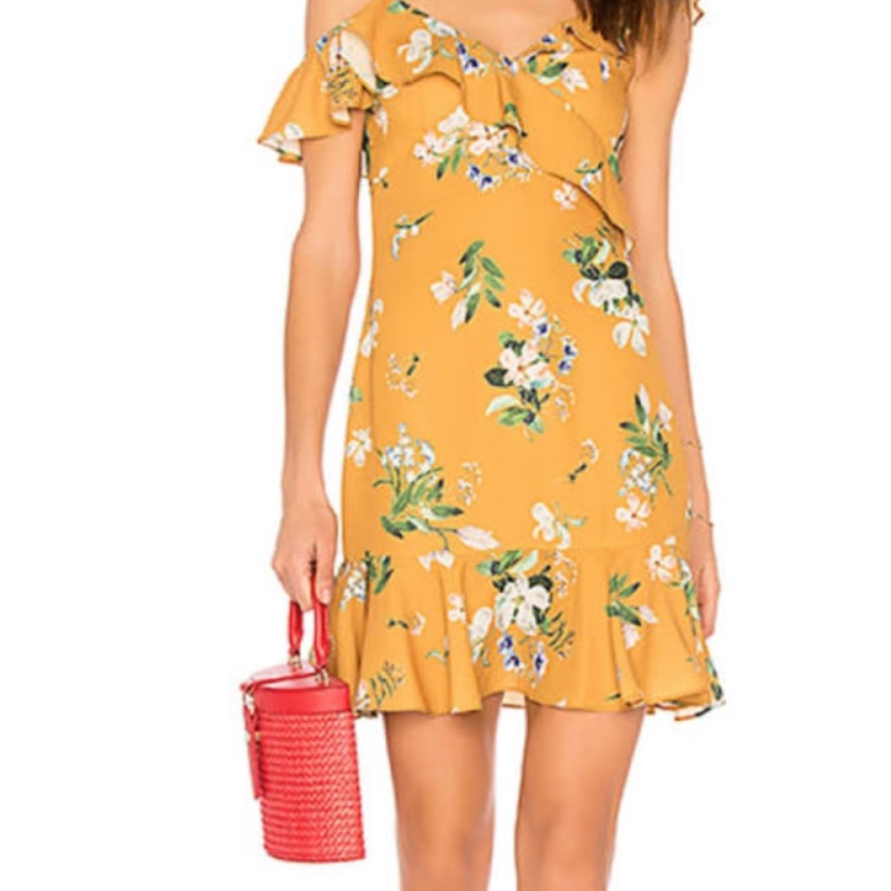 HeartLoom floral Dress with ruffle details